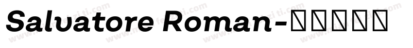 Salvatore Roman字体转换